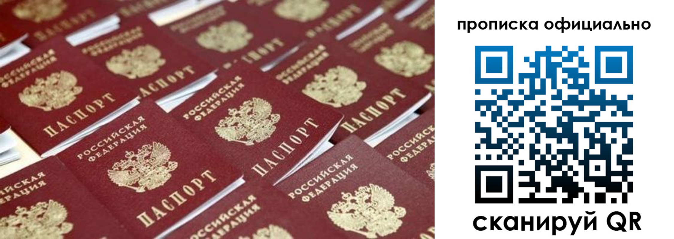 прописка гарантия в Березниках